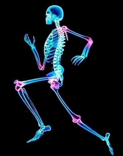 Bone Health