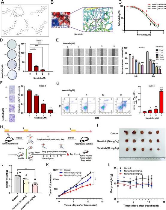 Molecular docking-based virtual screening of potential therapeutic agents for LMT-GSRCC.