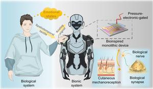 A monolithic pressure-electronic-gated neuromorphic device.