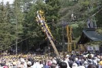 Onbashira Matsuri 2