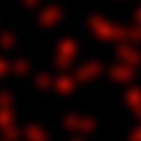 Detailed Fermi LAT View of GRB 130427A