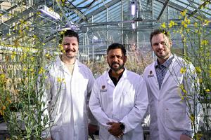 Photo of University of Calgary researchers on canola paper
