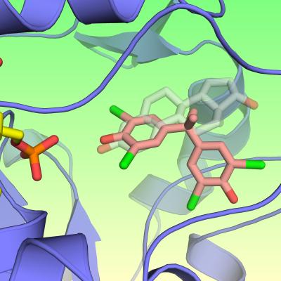 X-Ray Crystallography Image