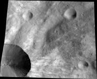 Canuleia, Up Close