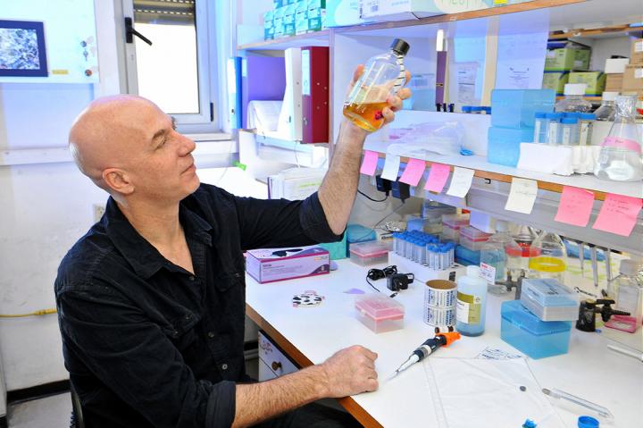 Ofer Mandelboim, The Hebrew University of Jerusalem