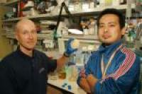 Tambet Teesalu and Kazuki N. Sugahara, University of California - Santa Barbara