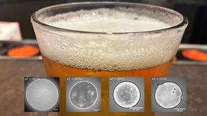 Wave interference (interferometry) images of beer bubbles, superimposed onto a glass of foamy beer