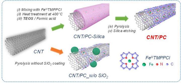 CNT/PC Catalysts
