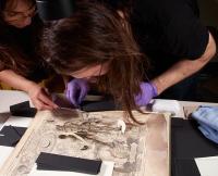 Digitizing a Medical Pop-Up Book (2 of 2)
