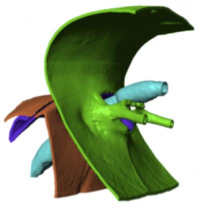 Model Cross-Section