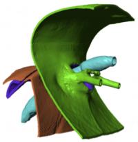 Model Cross-Section