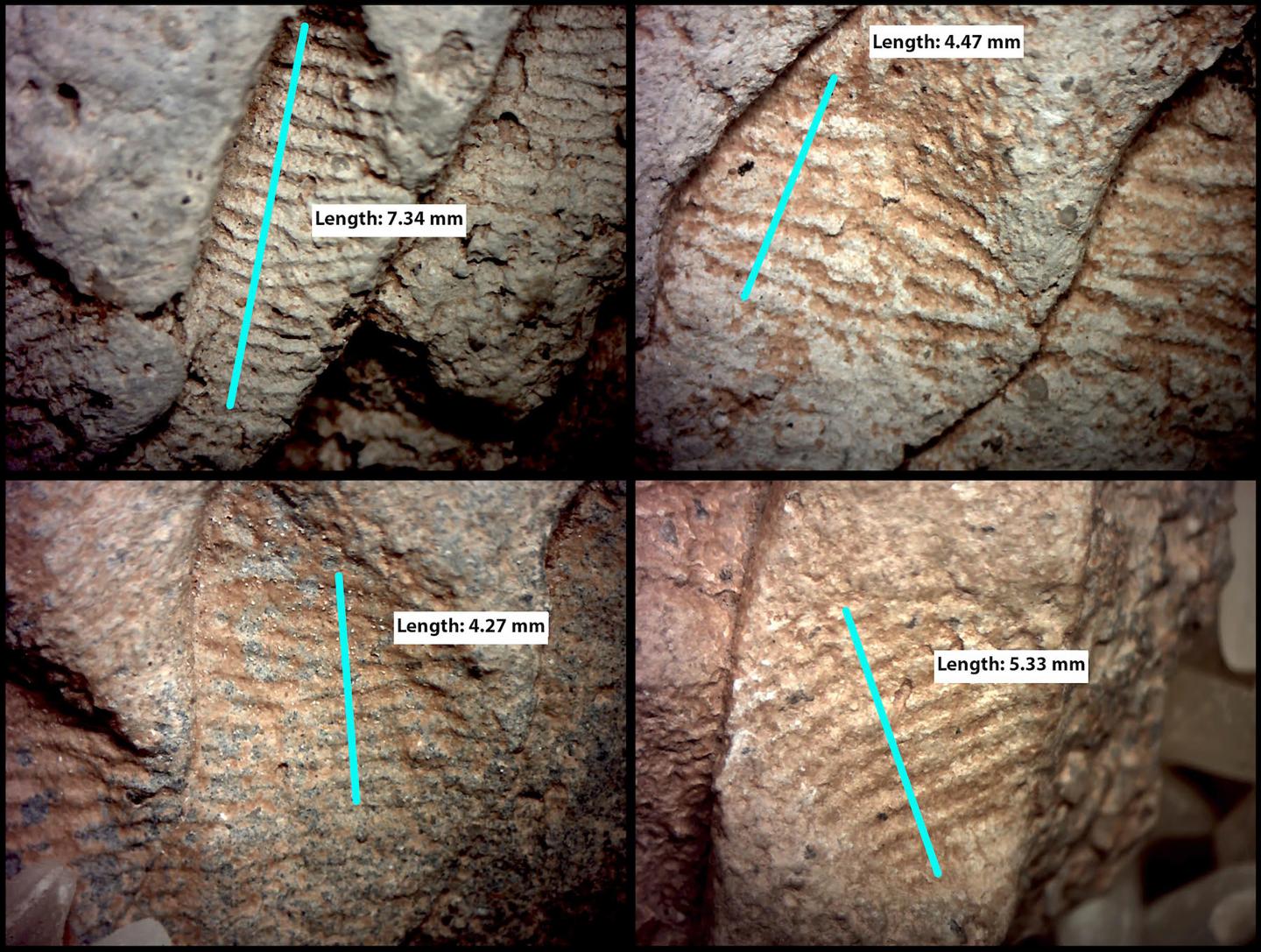 Magnified Views of Fingerprints