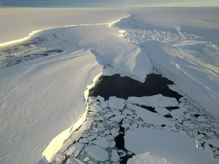 IcePiracyA_Pierre Dutrieux_2025_A West Antarctic ice shelf, splitting around a pinning point at its calving front
