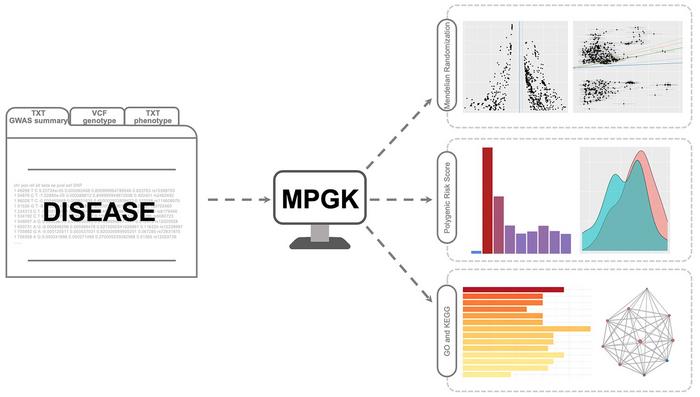 Integrated workflow of MPGK for MR, PRS, GO, and KEGG analyses