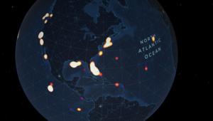 Dive Concentration of Visual Observations in the North Atlantic