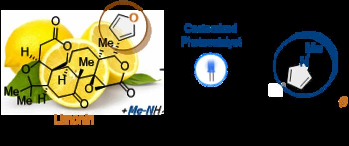 KAIST Develops “24/7 Unmanned Synthesis Platform” Using Robots and Light to Produce Drug Candidates