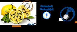 KAIST Develops “24/7 Unmanned Synthesis Platform” Using Robots and Light to Produce Drug Candidates