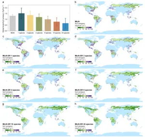 Plant Diversity-Soil-N2O flux model simulates global forest soil N2O emissions under diverse tree diversity scenarios.