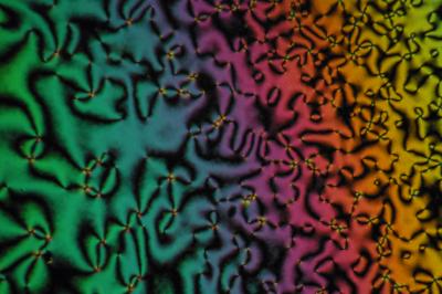 Zwitterionic Liquid Crystals