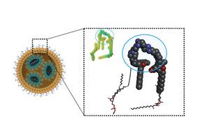 Nanoparticle closeup