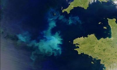 Ehux Bloom from Space