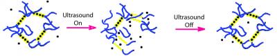 Ultrasound Can Temporarily Disrupt An Alginate Hydrogel