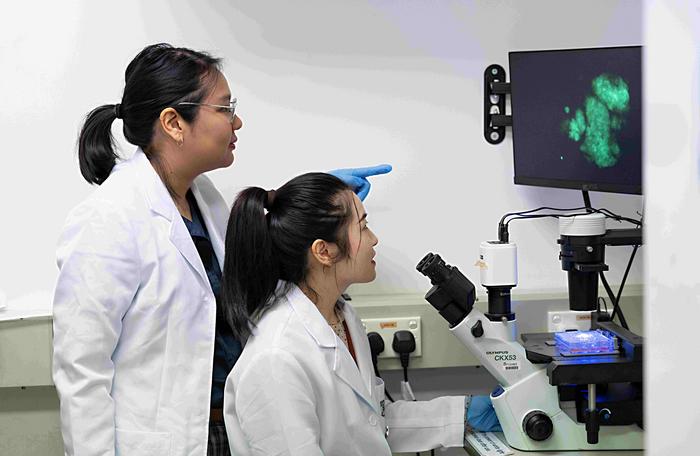 research team2
