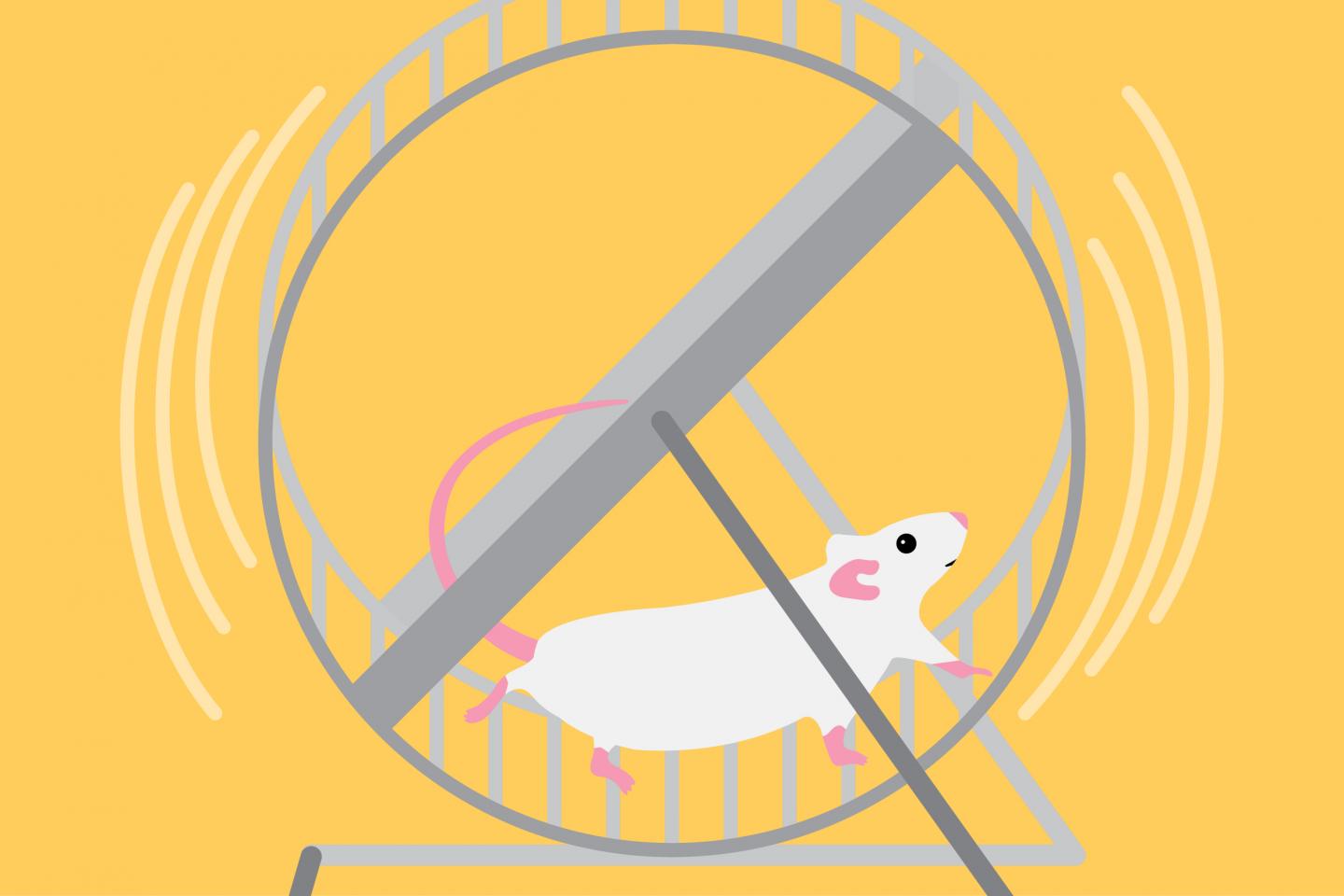 Natural Compound Reduces Signs of Aging in Healthy Mice