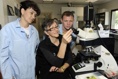Russian & WCS veterinarians