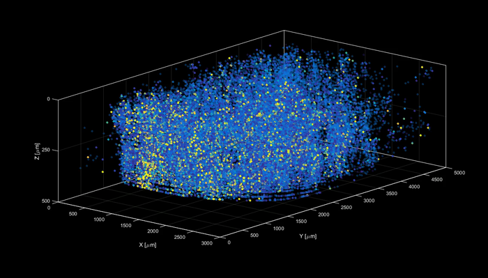 Neuroactivity