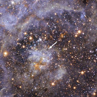 VFTS 102: The Fastest Rotating Star