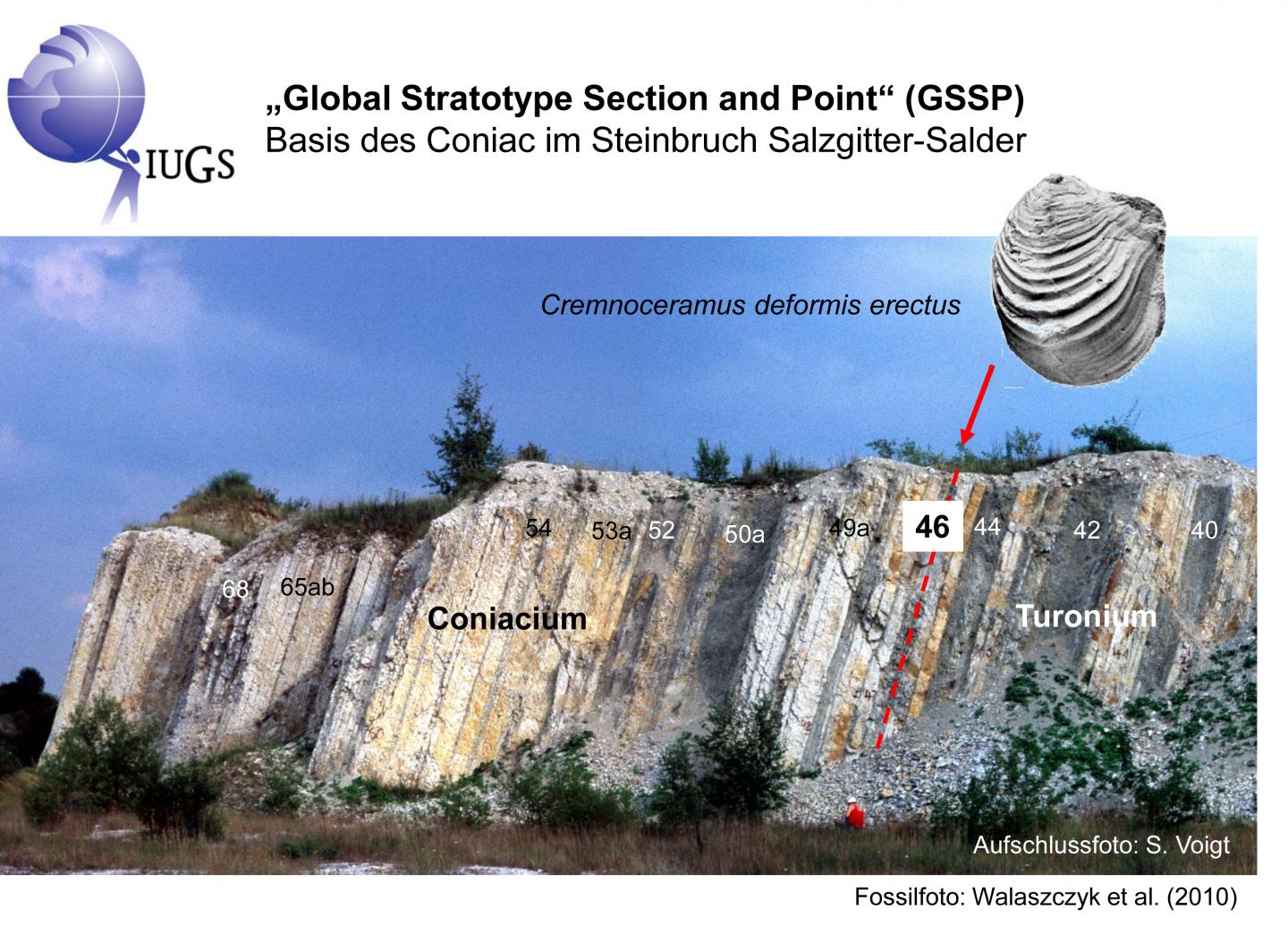 GSSP in Salzgitter-Salder
