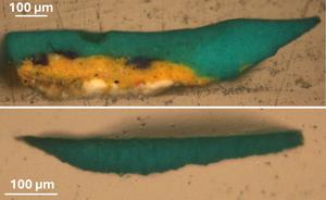 Photomicrographs of paint fragments taken from two altered emerald green areas of The Intrigue