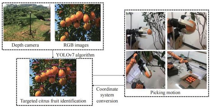 Framework of an autonomous picking system for picking robots