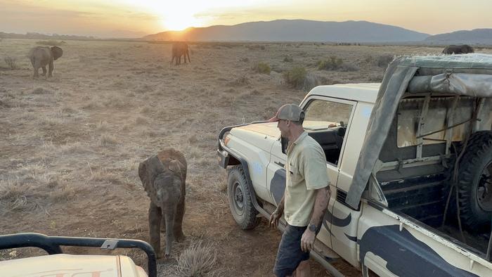 George Wittemyer and elephant calf at truck