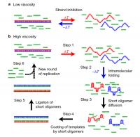 Viscosity Promotes Genetic Self-Copying Process