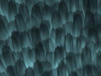 Lepidoptera Wing Scales
