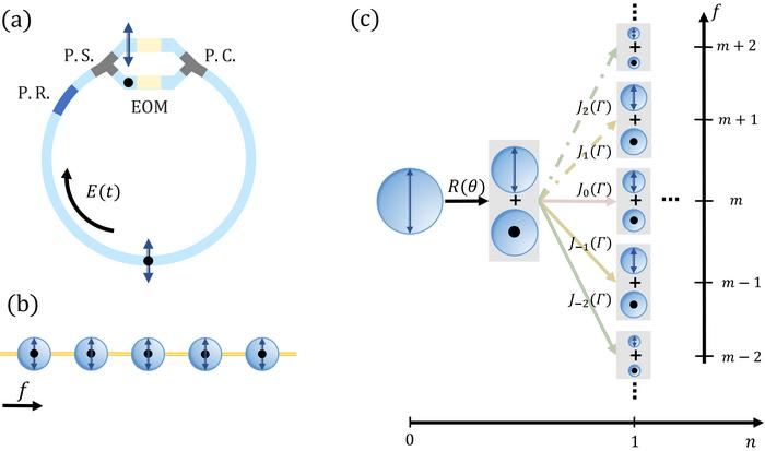 Figure | The structure of the ring resonator and the 1D DTQW in the synthetic frequency dimension.