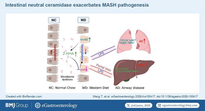 Visual abstract