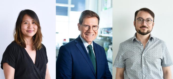 Authors of the study