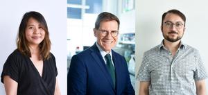Authors of the study