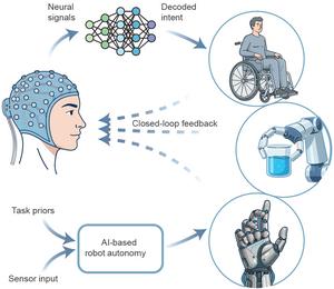 Noninvasive BCI-based robotic control.