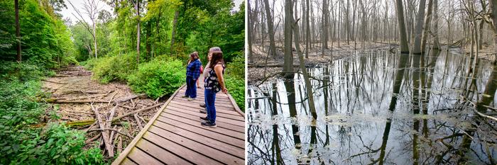 Ephemeral wetland in central Illinois