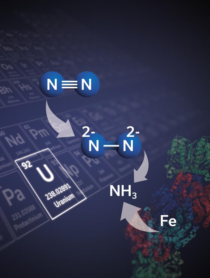 Illustration of Uranium-Based Compound