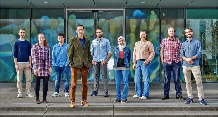 Elgendy research group