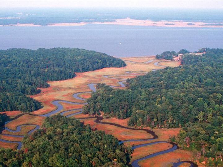 Headwater Wetland