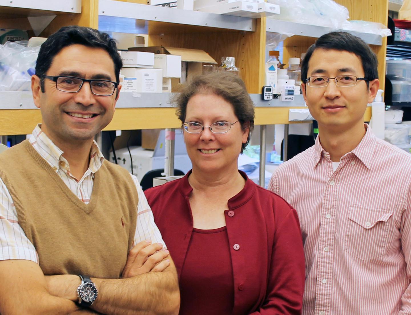 <i>Cell</i> Paper Co-Authors