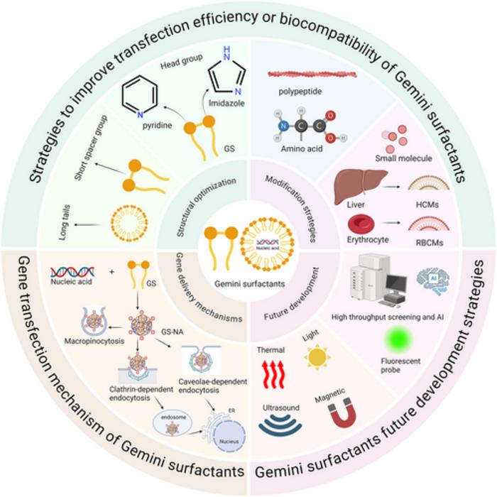 Schematic representation of Gemini surfactants for gene delivery