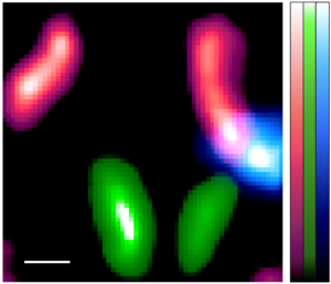 Figure 4d