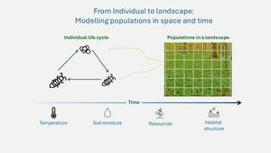 Spatial and temporal populations modelling